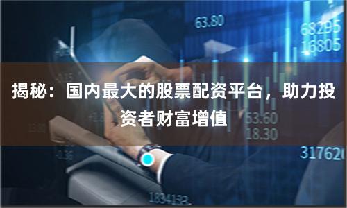 揭秘：国内最大的股票配资平台，助力投资者财富增值