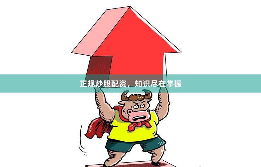正规炒股配资，知识尽在掌握